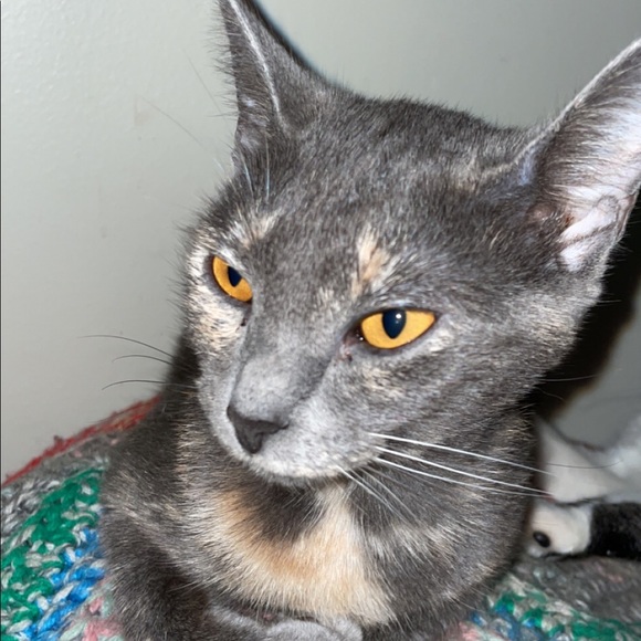 Meet your Posher, Jaimee - Picture 1 of 1